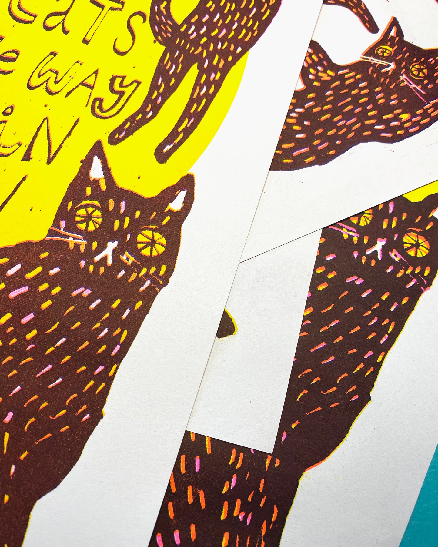 Black Cats in the Sun Risograph Print - A3 - Off White